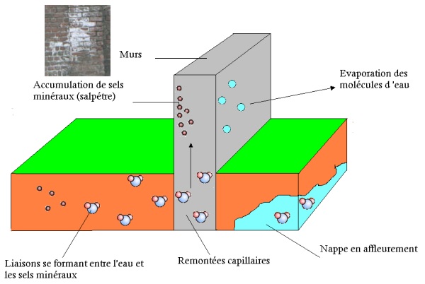 remontée capillaire ou fuite d'eau 