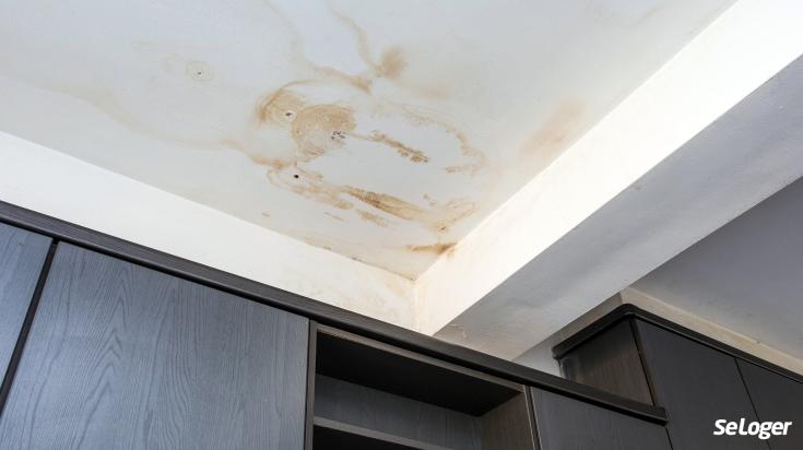 dégât des eaux appartement