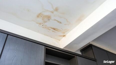 dégât des eaux appartement
