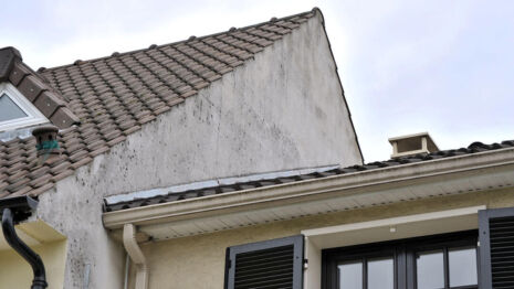vice caché infiltration d'eau maison